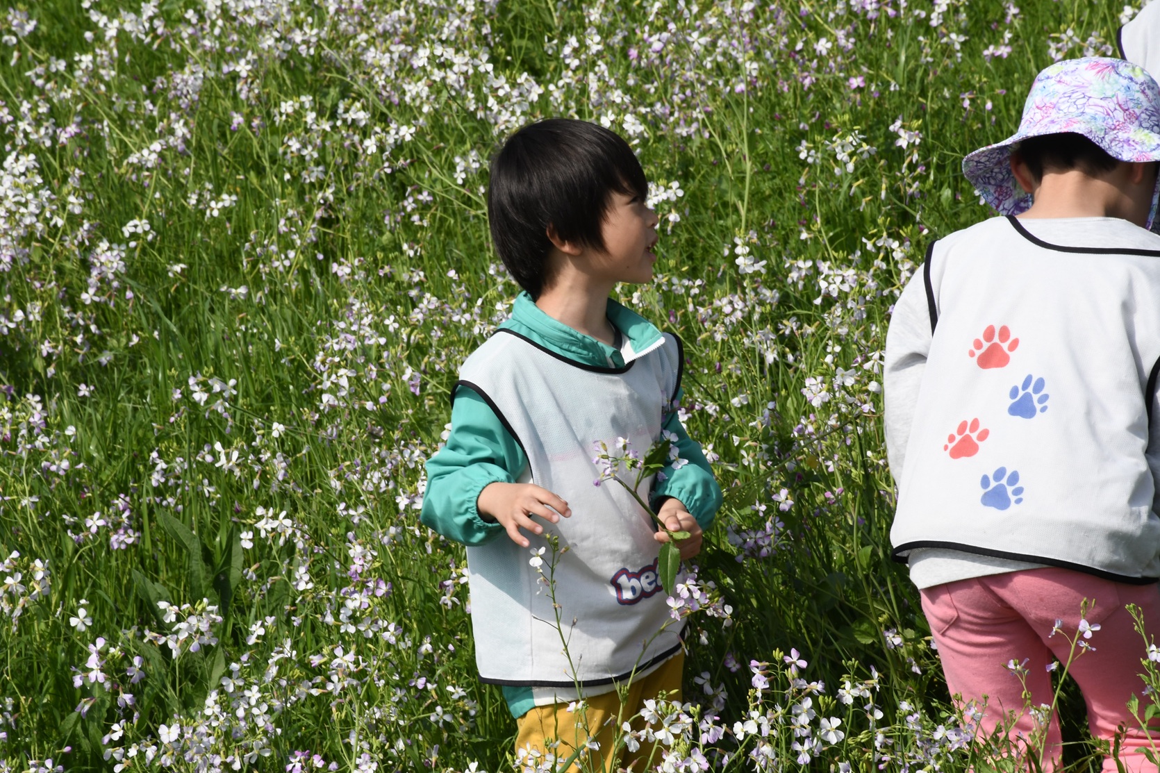 子供、ワスレナグサ、ネモフィラの花、カスミソウの画像のようです